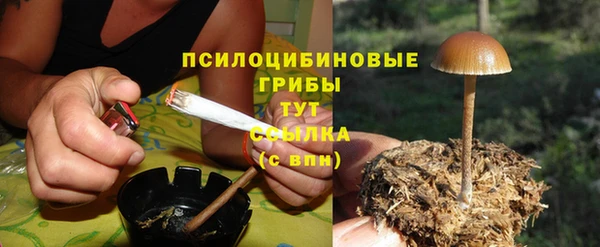 тгк Алексеевка