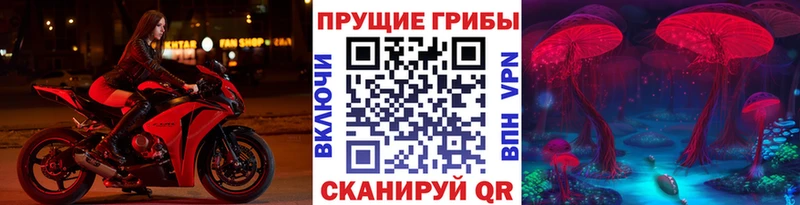 Галлюциногенные грибы ЛСД  хочу наркоту  Тогучин 